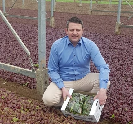 Blackdown Growers – Expert baby leaf grower